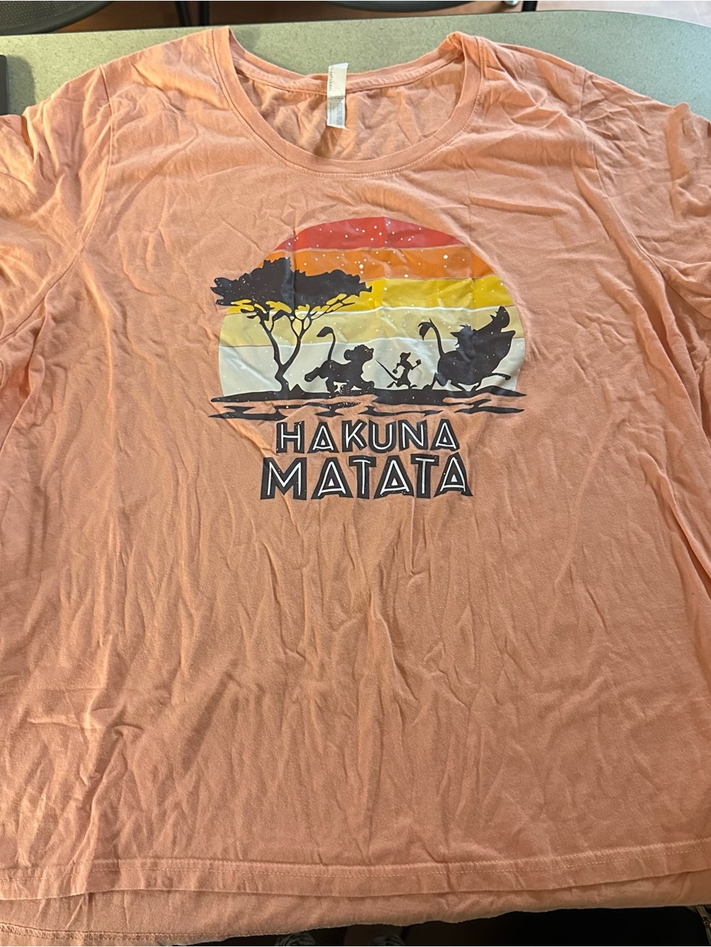 Women’s 3X (22-24)Matata Graphic Tee in Peach
